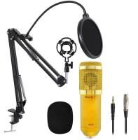 Микрофон студийный конденсаторный HLV Music D.J. M-800 со стойкой и ветрозащитой Gold (111714)