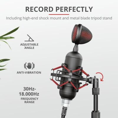 Микрофон Trust GXT 244 Buzz USB Streaming Microphone Black (23466) фото в интернет магазине WiseSmart.com.ua