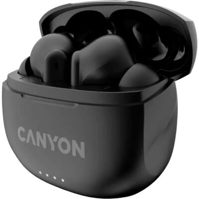 Наушники Canyon TWS-8 Black (CNS-TWS8B) фото в интернет магазине WiseSmart.com.ua
