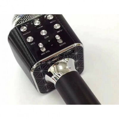 Микрофон караоке со встроенной колонкой Bluetooth FM, microSD, USB, AUX WSTER WS1688 Original Black (pst01126) фото в интернет магазине WiseSmart.com.ua