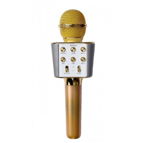 Беспроводной Караоке Микрофон Колонка WSTER WS-1688 Bluetooth подавления шума Gold фото в интернет магазине WiseSmart.com.ua