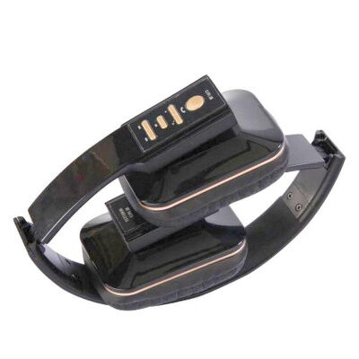 Беспроводные наушники RIAS SY-BT1613 Bluetooth Black (2_009881) фото в интернет магазине WiseSmart.com.ua