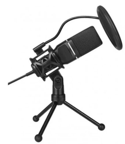 Микрофон студийный настольный конденсаторный Yanmai SF-777 фото в интернет магазине WiseSmart.com.ua