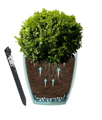 Сигнализатор полива растений цветов, датчик влажности почвы Chirp фото в интернет магазине WiseSmart.com.ua